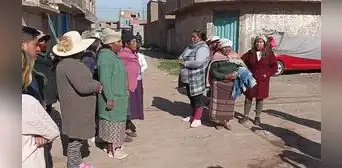 Buscan identificar a los responsables de la muerte de más de 10 canes en Juliaca