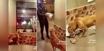 Policía se compadece de perrito callejero que miraba una pollería y le compra 1/4 de pollo a la brasa Policía se compadece de perrito callejero que miraba una pollería y le compra 1/4 de pollo a la brasa