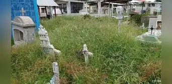 Cementerio de Tumbes se ha convertido en selva agreste con maleza producto de las lluvias