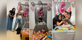 Joven se vuelve a ver con su expareja para celebrar el cumpleaños de su 'perrhija' Joven se vuelve a ver con su expareja para celebrar el cumpleaños de su 'perrhija'