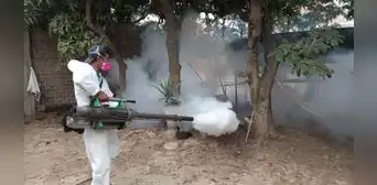 Se incrementan las cifras de contagios en el norte por dengue Se incrementan las cifras de contagios en el norte por dengue