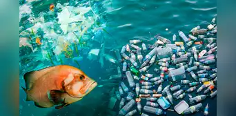“Más plásticos que peces”: ONU advierte que desechos en los océanos se triplicarían para el 2050