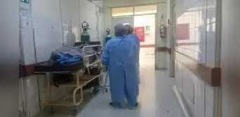 Hombre y su mascota canina fueron hallados muertos en su habitación en Arequipa Hombre y su mascota canina fueron hallados muertos en su habitación en Arequipa