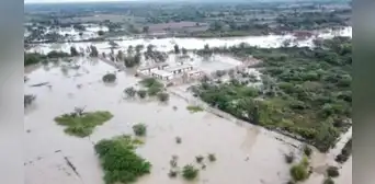 Lluvias dejan pérdidas por S/63 millones en cultivos de exportación de Lambayeque