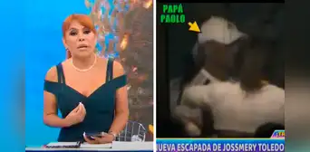 Magaly indignada al ver a la familia de Hurtado con Jossmery en casa de campo: "Me asombra" Magaly indignada al ver a la familia de Hurtado con Jossmery en casa de campo: "Me asombra"