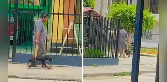Hombre ayuda a caminar a su perrito enfermo y enternece en redes sociales: “Qué hermoso”