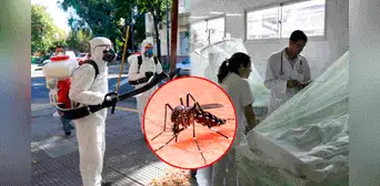 Argentina registra al menos 35 muertos y más de 41.000 infectados por dengue