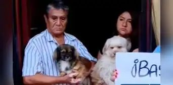 SMP: denuncian a vecino que mató a perrito y habría agredido a otros canes