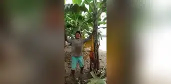 "Ten piedad, Señor": agricultor ahogado en llanto pide a Dios cese de lluvias en Piura "Ten piedad, Señor": agricultor ahogado en llanto pide a Dios cese de lluvias en Piura
