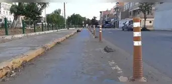 Cuestionan a la Municipalidad de Chiclayo por el retiro de ciclovías Cuestionan a la Municipalidad de Chiclayo por el retiro de ciclovías