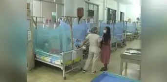 Regiones del norte en alerta por incremento del dengue