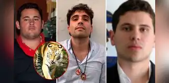 Hijos del ‘Chapo’ alimentaban a sus tigres con cuerpos de sus víctimas, asegura la DEA Hijos del ‘Chapo’ alimentaban a sus tigres con cuerpos de sus víctimas, asegura la DEA