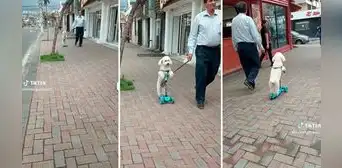 Adulto mayor pasea a su perrito en scooter y causa furor en redes sociales: "Niño camuflado de firulais" Adulto mayor pasea a su perrito en scooter y causa furor en redes sociales: "Niño camuflado de firulais"