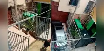 SJM: vecinos se adueñan de espacio público para crear una cochera y un patio SJM: vecinos se adueñan de espacio público para crear una cochera y un patio