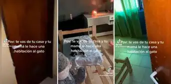 Joven se va de la casa y su madre convierte la habitación en el cuarto del gato: “Como debe ser” Joven se va de la casa y su madre convierte la habitación en el cuarto del gato: “Como debe ser”