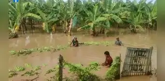 Agricultores cuya producción fue arrasada por las lluvias: "Queremos que la ministra se meta al agua" Agricultores cuya producción fue arrasada por las lluvias: "Queremos que la ministra se meta al agua"