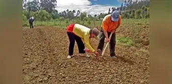 Bono Recupérate Ya: plazo para cobrar subsidio vence el 25 de abril