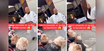 Padre bendecía a unos perritos, pero uno de ellos es 'poseído': “Han venido por mi alma” Padre bendecía a unos perritos, pero uno de ellos es 'poseído': “Han venido por mi alma”