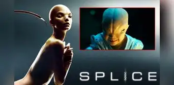 “Splice” aterró a miles en 2009 y casi tuvo secuela: ¿por qué no se hizo y de qué pudo tratar?
