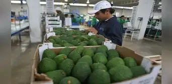 Exportaciones de La Libertad crecieron 15% el primer bimestre