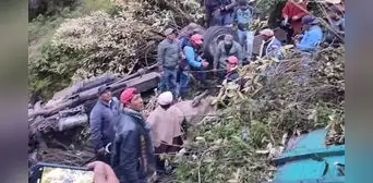 Camión sufre accidente y deja 3 animales muertos en Cajamarca Camión sufre accidente y deja 3 animales muertos en Cajamarca