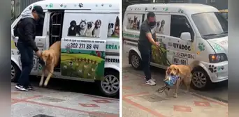 Perrito carga su lonchera al llegar de la guardería a su casa y enternece a usuarios: “Me enamoré”