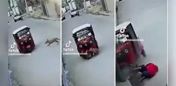 Perro choca con una mototaxi y conductor sale volando: “Firulais, ¿héroe o amenaza?”