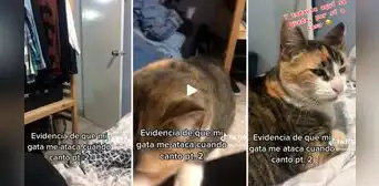 Joven practica su habilidad para el canto y su gata reacciona de la peor manera: “No soporta”