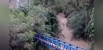 Amazonas: 3 niños fallecen tras ser arrastrados por caudalosas aguas de quebrada debido a lluvias Amazonas: 3 niños fallecen tras ser arrastrados por caudalosas aguas de quebrada debido a lluvias