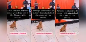 Perro sorprende al 'cantar' en plena alabanza de una iglesia: "El hermano firulais"