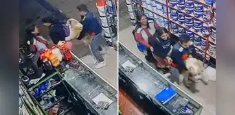 Captan a vendedores de tienda en Tacna bailando con perrito: “Excelente ambiente laboral”