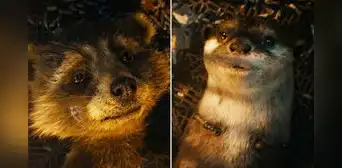¿Muere Rocket? Nuevo tráiler de "Guardianes de la galaxia 3" entristece a fans: "No voy a llorar" ¿Muere Rocket? Nuevo tráiler de "Guardianes de la galaxia 3" entristece a fans: "No voy a llorar"