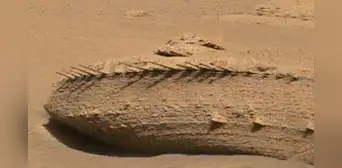 ¿Una columna vertebral en Marte? La NASA explica este insólito hallazgo ¿Una columna vertebral en Marte? La NASA explica este insólito hallazgo