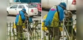 Abuelito que vende helados fue captado bailando con perrito y enternece todas las redes: “¡Qué hermoso!”