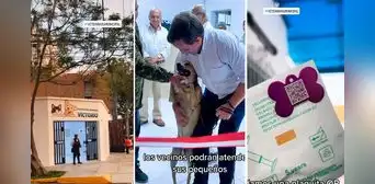 Magdalena: veterinaria municipal atenderá a costo social y registrará mascotas con microchip Magdalena: veterinaria municipal atenderá a costo social y registrará mascotas con microchip