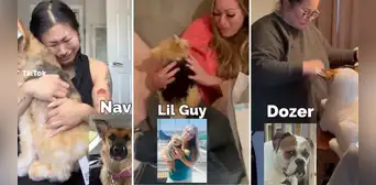 ¡Conmovedor! Personas rompen en llanto al ver a sus mascotas en réplicas de peluche ¡Conmovedor! Personas rompen en llanto al ver a sus mascotas en réplicas de peluche