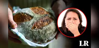 ¿Puedo comer pan con moho si le he cortado la parte mala?