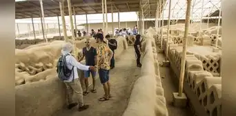 Con S/ 11 millones mejorarán vía de ingreso a ruinas de Chan Chan en Trujillo Con S/ 11 millones mejorarán vía de ingreso a ruinas de Chan Chan en Trujillo