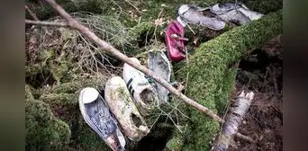 Aokigahara: ¿cuál es el origen del bosque donde miles de personas ponen fin a su vida?