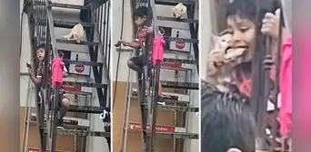 Gato travieso roba presa de pollo a niño que se descuidó por un momento: "Camarón que se duerme..." Gato travieso roba presa de pollo a niño que se descuidó por un momento: "Camarón que se duerme..."