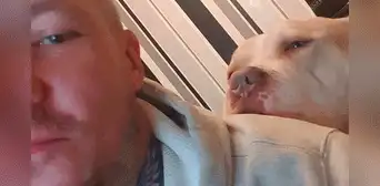 Perro muere dando la vida por su dueño tras alertar a tiempo de la explosión del scooter Perro muere dando la vida por su dueño tras alertar a tiempo de la explosión del scooter
