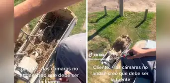 Travieso pájaro aprovechó casco de cámara de seguridad para armar su nido y criar a sus polluelos Travieso pájaro aprovechó casco de cámara de seguridad para armar su nido y criar a sus polluelos
