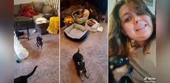 “El perro no es 'bilingüe'”: Dueña aprende español para comunicarse con su perro que no entiende inglés “El perro no es 'bilingüe'”: Dueña aprende español para comunicarse con su perro que no entiende inglés