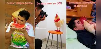 Joven tiktoker explica cómo es tener un gallo mascota: “Qué hermoso”