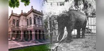 El sangriento final del guardián japonés que convivió con Charles, el elefante del Parque de la Exposición