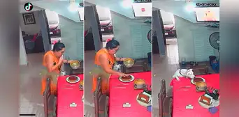 Perro imita a su dueña y lame el postre que preparó: “Los que comieron el dulce quedaron en shock” Perro imita a su dueña y lame el postre que preparó: “Los que comieron el dulce quedaron en shock”