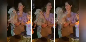 Perrito se hace viral por 'aplaudir' cuando le cantan "Cumpleaños feliz" a su dueña: "¡Qué tierno!" Perrito se hace viral por 'aplaudir' cuando le cantan "Cumpleaños feliz" a su dueña: "¡Qué tierno!"