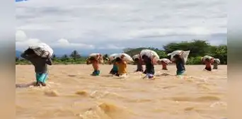 Agricultores arriesgan sus vidas en Tumbes al cruzar caudalosas aguas con sus productos