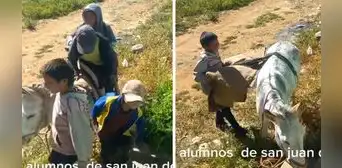 "Recogiendo pasajeros": docente capta a varios niños llegando en un burrito a su escuela en Huánuco "Recogiendo pasajeros": docente capta a varios niños llegando en un burrito a su escuela en Huánuco