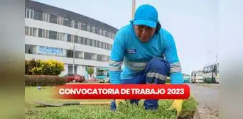 ¿Buscas trabajo? Municipalidad de San Miguel abre convocatoria con sueldos de hasta S/2.500 ¿Buscas trabajo? Municipalidad de San Miguel abre convocatoria con sueldos de hasta S/2.500